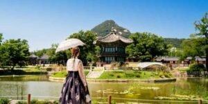 Layover Boredom? Try Airports with Free City Tours